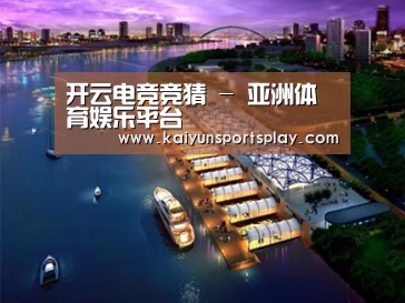 案例展示八