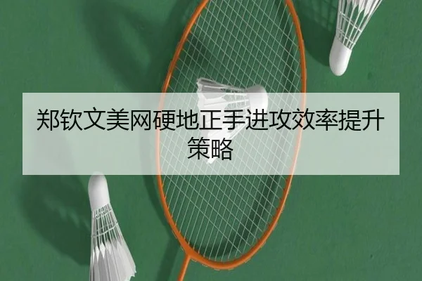 zheng-qin-wen-mei-wang-ying-di-zheng-shou-jin-gong-xiao-lv-ti-sheng-ce-lve-2-701.jpg