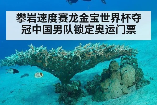 攀岩速度赛龙金宝世界杯夺冠中国男队锁定奥运门票